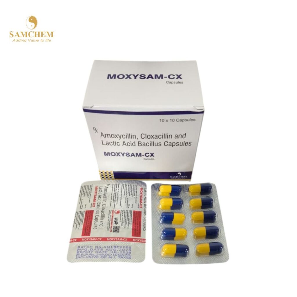 Amoxycillin, Cloxacillin & Lactic Acid Bacillus Capsules